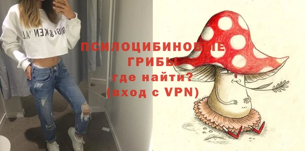 дмт Дмитровск