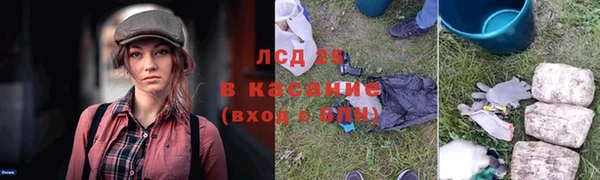 дмт Дмитровск