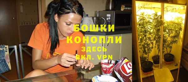 гидропоника Ельня