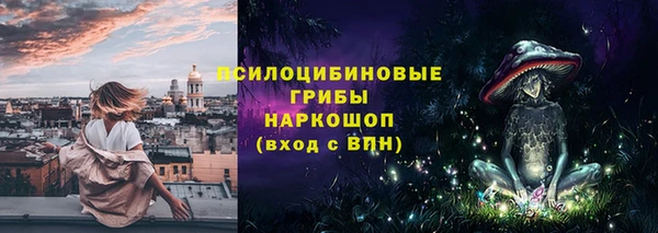 гидропоника Ельня