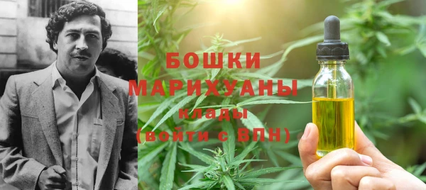дмт Дмитровск